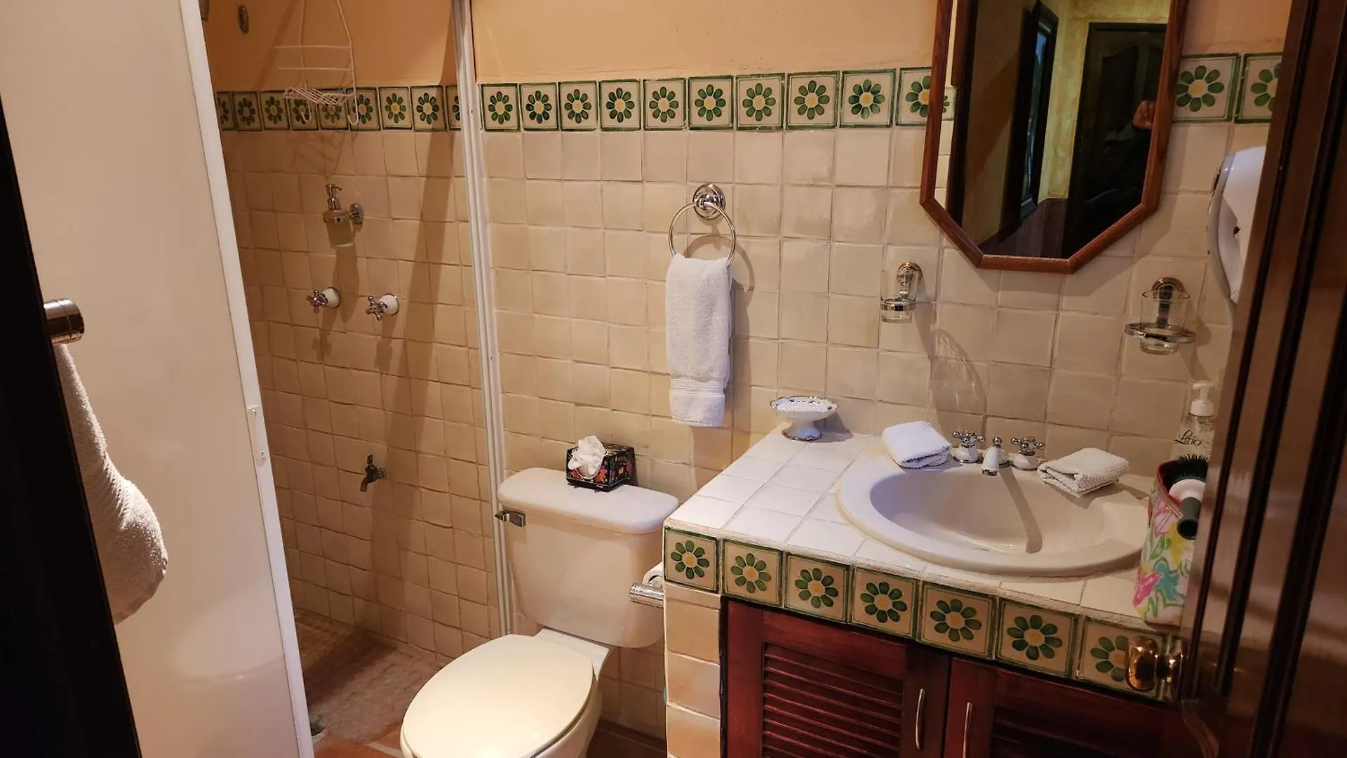 Casa Colonial, Cozumel Villa Indigo